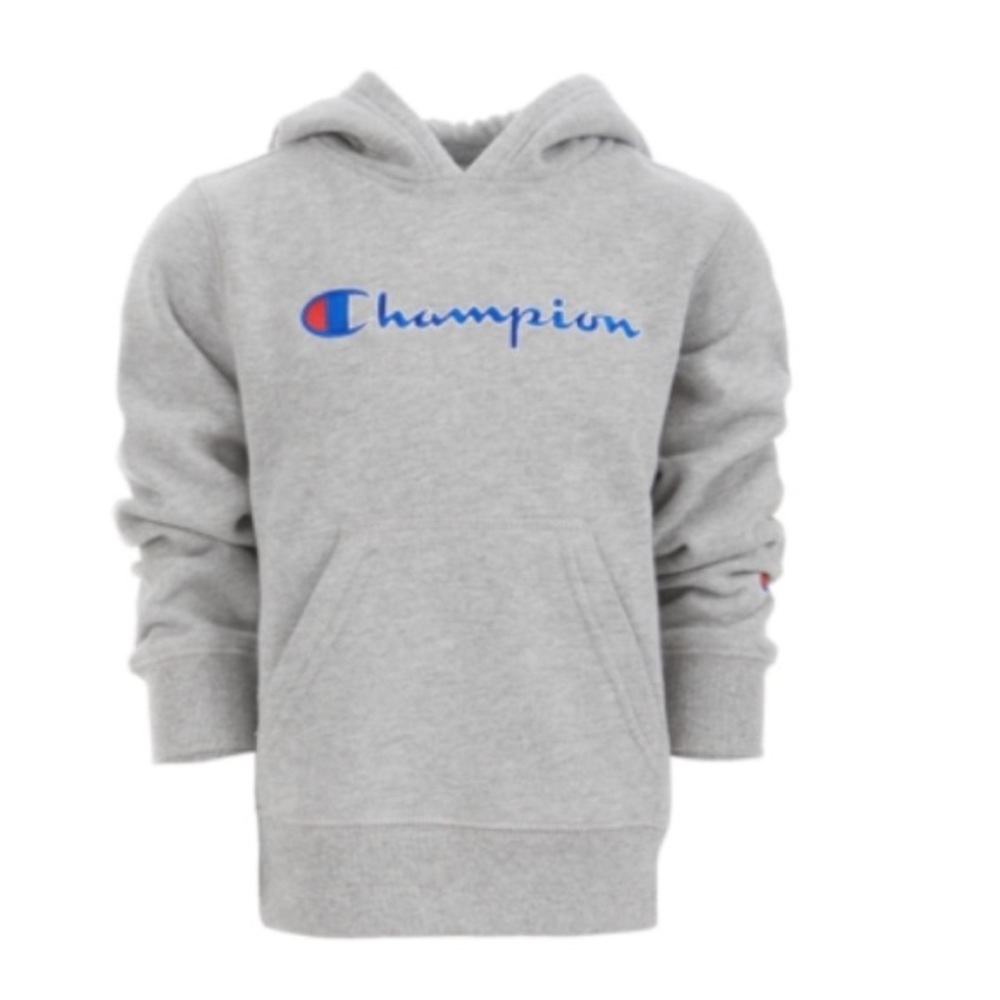 NWT Champion Logo Hoodie